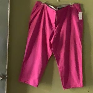 Crown & ivy size 24W regular pants NWT